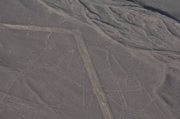 Desenho de baleia no deserto de Nazca - Peru